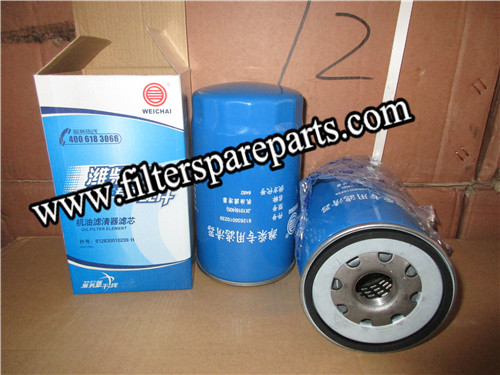 612630010239 Weichai Lube filter